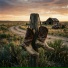 Haystack Hustle