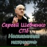 Сергей Шевченко СПб