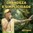 Netinho
