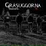 Gråsuggorna