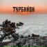 Турбийон