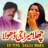 Ch Tefa feat. Shazia Marvi