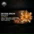 Dhyan Droik
