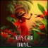 Dalya.