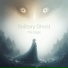 Solitary Ghost, Ambtech