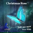 Christmas Rose feat. Si Hyeon