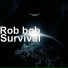 Rob bob