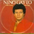 Nino Gatto
