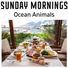 Ocean Animals