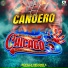Chicago 5