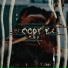 Ebu