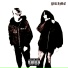 whyreason feat. hottlake