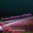 Михаил Кириллов