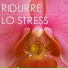 Pura Meditazione Stress