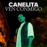 Canelita