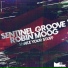Sentinel Groove, Robin Moog