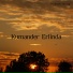 bermind