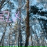 EZVX