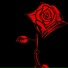 ABN