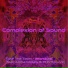 Complexion of Sound feat. Alpha Moses, PHNTM Live
