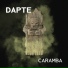Dapte
