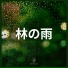 自然の音