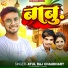 Atul Raj Chaudhary