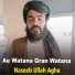 Naseeb Ullah Agha