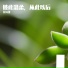 Meng Ke (孟可)