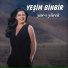 Yesim Binbir