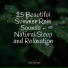 Forest Soundscapes, Ruído branco, Sound of Rain