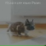 Музыка для кошек Радио