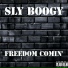Sly Boogy