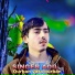 Singer Adil