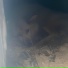 Антон Батон