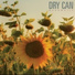 Dry Can