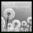 ?Dandelions Ruth. B- TIKTOK MIX
