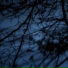 Reflectline