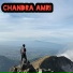 Chandra Amri