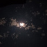 Sixcry7