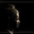 Calming Music Ensemble, Buddhist Lotus Sanctuary