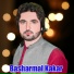 Basharmal Kakar