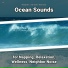 Relaxing Music, Ocean Sounds, Nature Sounds