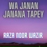 Raza Noor Wazir