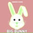 Big Bunny