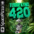Terrie Kynd