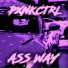 PXNKCTRL