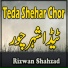 Rizwan Shahzad