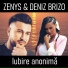 Zenys feat. Deniz Brizo