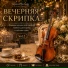 Скрипка для кафе